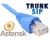 Trunk SIP Asterisk Trunk
